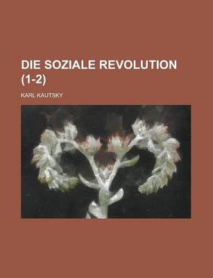 Book cover for Die Soziale Revolution (1-2)