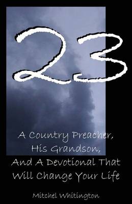 Book cover for 23