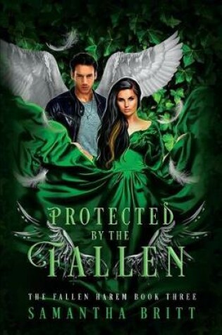 Cover of Protected by the Fallen