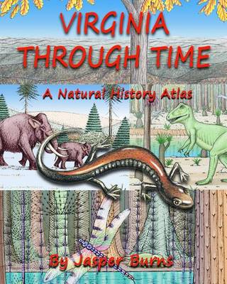 Book cover for Virginia Through Time