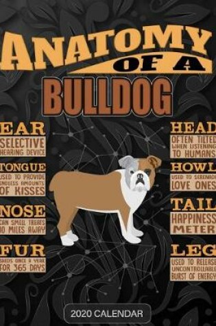 Cover of Anatomy Of A Bulldog