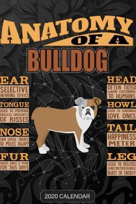 Book cover for Anatomy Of A Bulldog