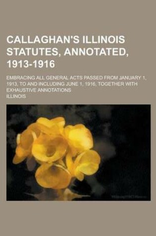 Cover of Callaghan's Illinois Statutes, Annotated, 1913-1916; Embracing All General Acts Passed from January 1, 1913, to and Including June 1, 1916, Together with Exhaustive Annotations