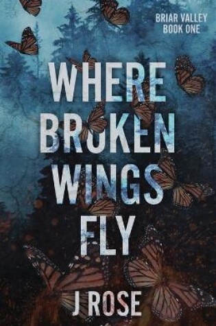 Cover of Where Broken Wings Fly