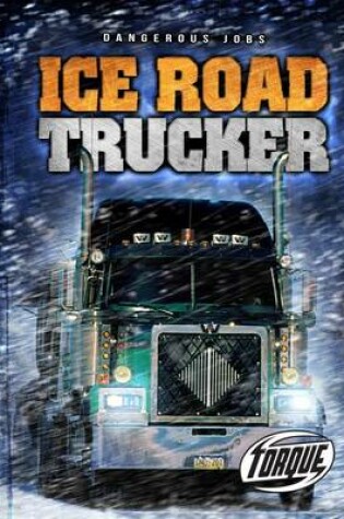 Cover of Torque Series