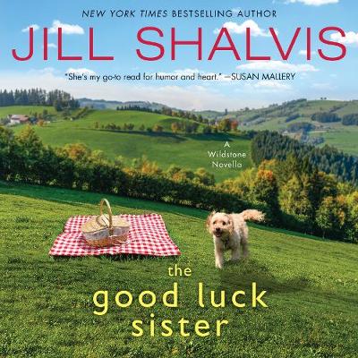 Book cover for The Good Luck Sister