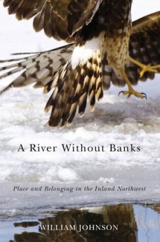 Cover of A River Without Banks