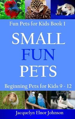 Book cover for Small Fun Pets
