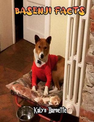 Book cover for Basenji Facts