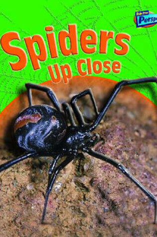 Cover of Spiders Up Close