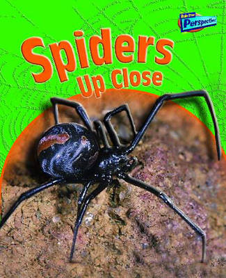 Book cover for Spiders Up Close