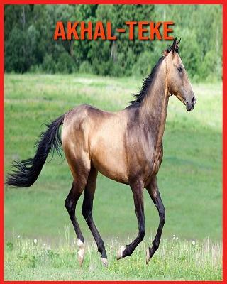 Book cover for Akhal-Teke