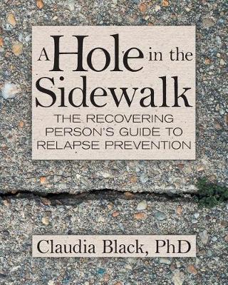 Book cover for Hole in the Sidewalk