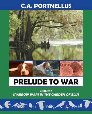 Book cover for Prelude to War