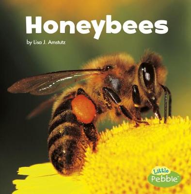 Cover of Honeybees