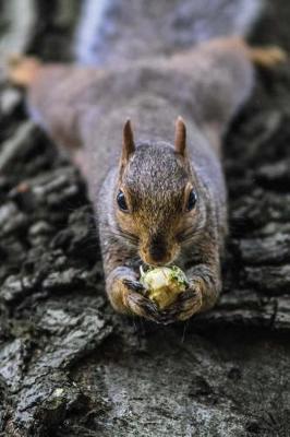 Book cover for Happy Squirrel with a Nut on a Log Cute Animal Journal