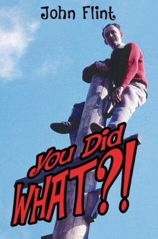 Cover of You Did What?