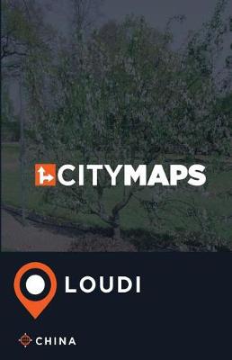 Book cover for City Maps Loudi China