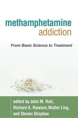 Cover of Methamphetamine Addiction