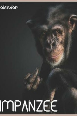 Cover of Chimpanzee 2021 Calendar