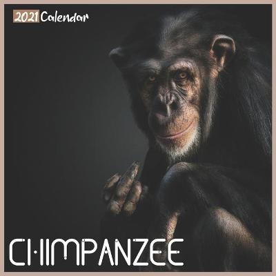 Book cover for Chimpanzee 2021 Calendar