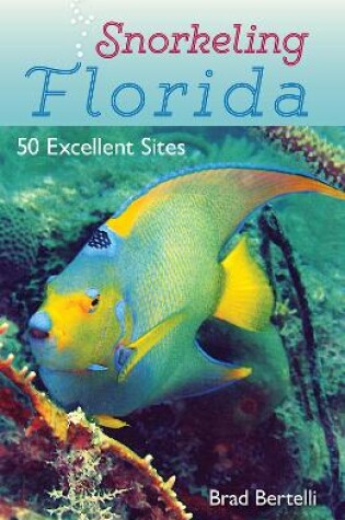 Cover of Snorkeling Florida