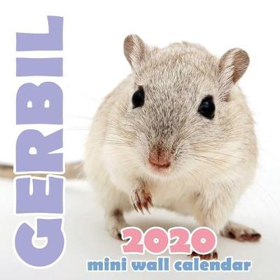 Book cover for Gerbil 2020 Mini Wall Calendar