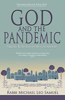 Book cover for God and the Pandemic, A Judaic Reflection on the Coronavirus