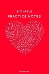 Book cover for Big Apple Practice Notes