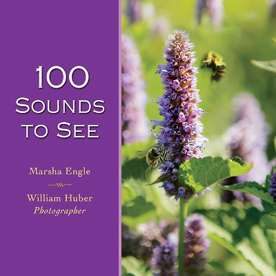 Cover of 100 Sounds to See