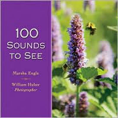 Cover of 100 Sounds to See