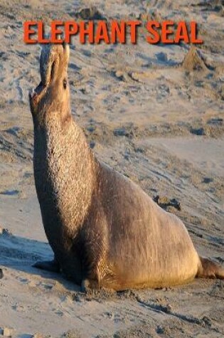 Cover of Elephant Seal