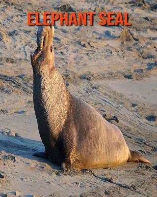 Book cover for Elephant Seal