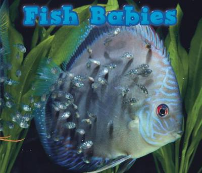 Book cover for Fish Babies
