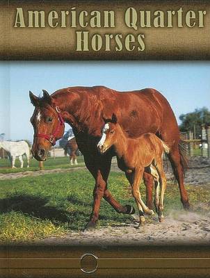 Book cover for American Quarter Horses