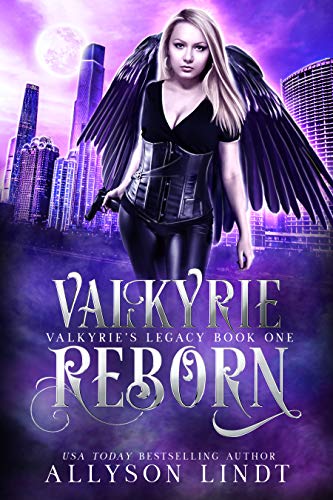 Cover of Valkyrie Reborn