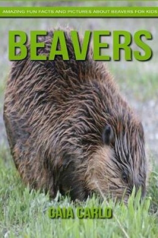 Cover of Beavers