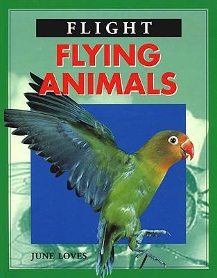 Cover of Flying Animals