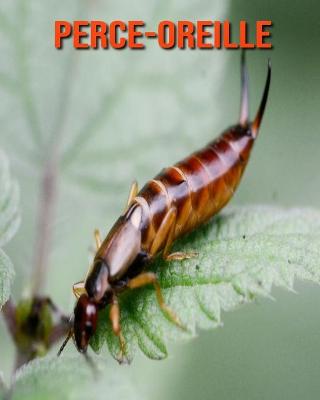 Book cover for Perce-Oreille