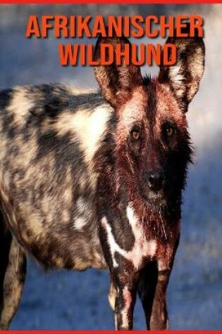 Cover of Afrikanischer Wildhund