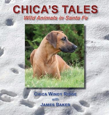 Book cover for Chica's Tales