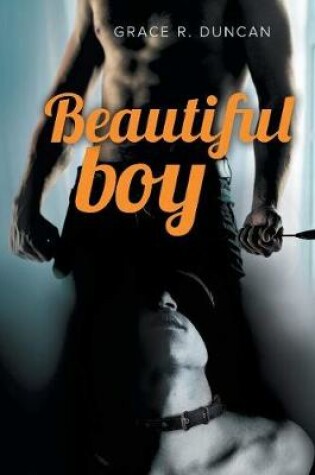 Cover of Beautiful boy