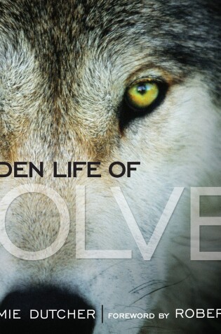 Cover of The Hidden Life of Wolves