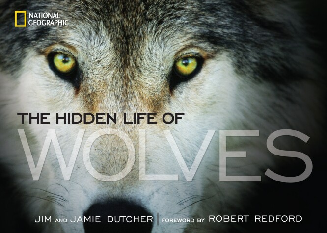 Cover of The Hidden Life of Wolves