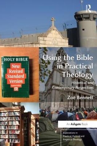 Cover of Using the Bible in Practical Theology