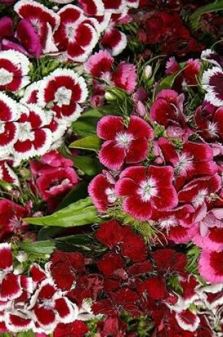 Cover of 2020 Weekly Planner Flowers Pretty Pink Dianthus 134 Pages