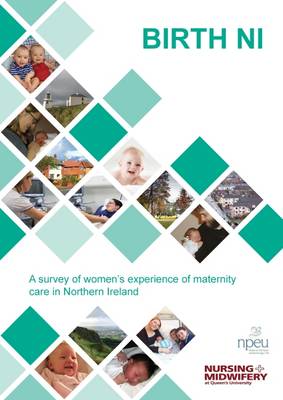 Book cover for Birth NI: A Survey of Women's Experience of Maternity Care in Northern Ireland
