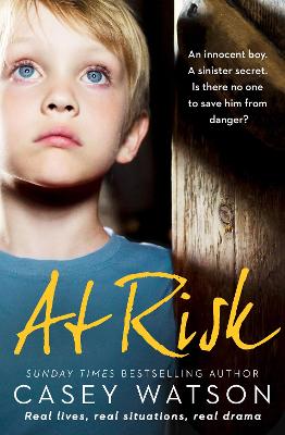 Book cover for At Risk