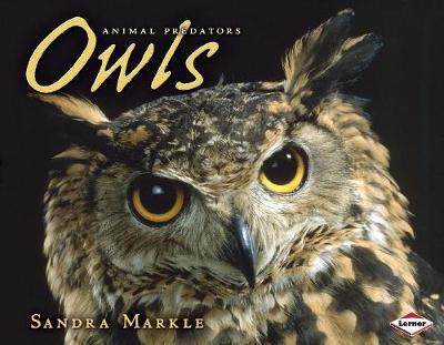 Cover of Owls