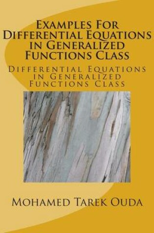 Cover of Examples For Differential Equations in Generalized Functions Class